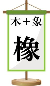 木象|木＋象の漢字「橡」！読み方や意味などを一発チェック